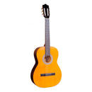 Guitarra Acústica Encore ENC44 - GOmusic.cl