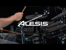 Batería Electrónica Alesis PRO KIT MESH HEADS MKII