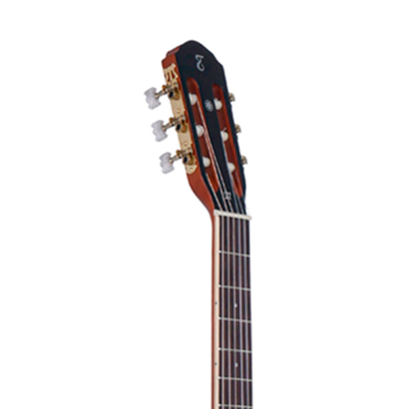 Guitarra Electroacústica Tagima TW-29 EQ NTS - GOmusic.cl